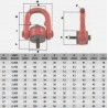 ANNEAU DE LEVAGE MÂLE ARTICULE  180° - 0,4 À 6,3 T  - www.esse.fr