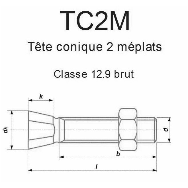 BOULON TÊTE CONIQUE FRAISÉE 2 MÉPLATS BRUT 12.9 - www.esse.fr