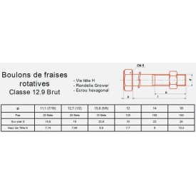 BOULON FRAISE ROTATIVE AGRICOLE 12.9 ACIER BRUT - www.esse.fr