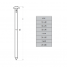 POINTES INOX TETE BOMBEE AU KILO ø1,2 À ø3,4 - www.esse.fr